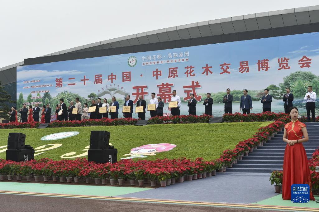 mg手机版下载